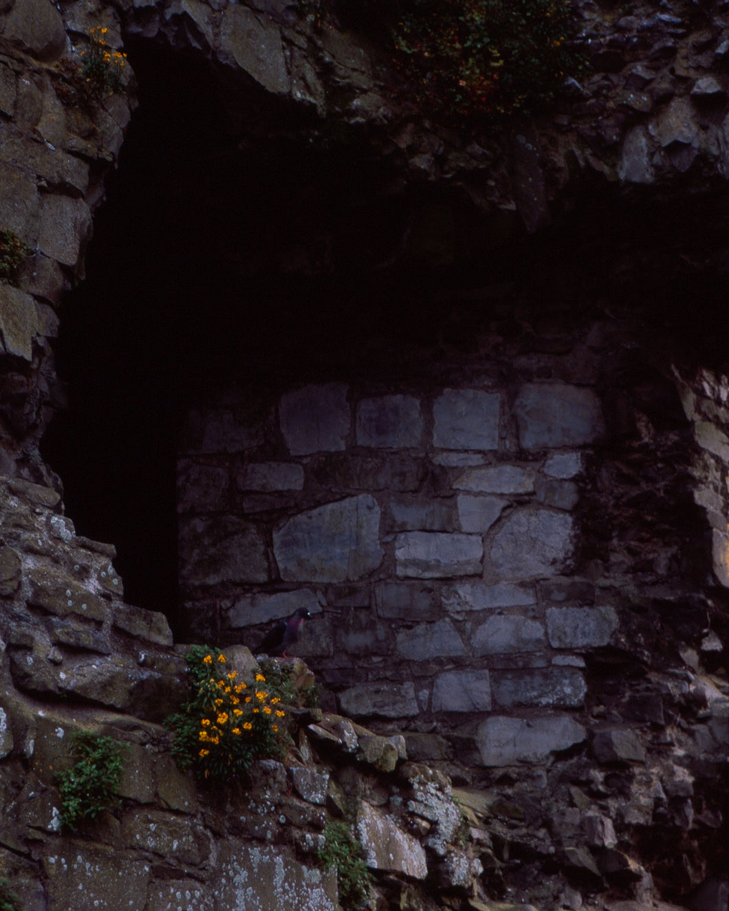 Carlow Castle