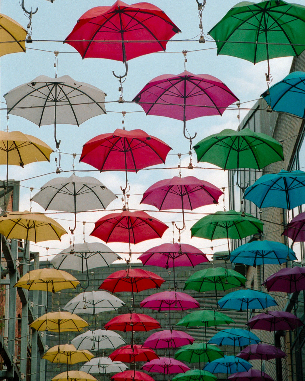 Under my Umbrella